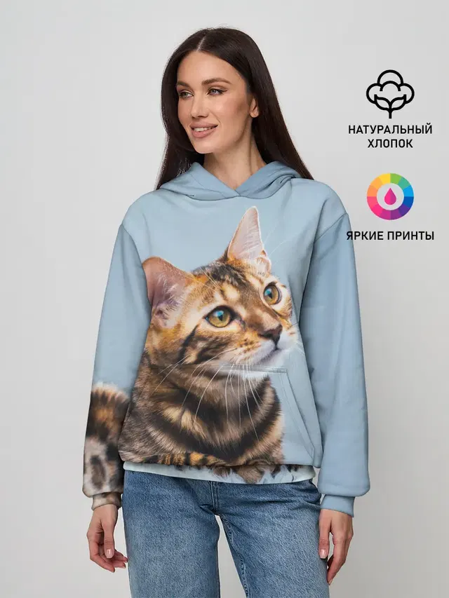 Бенгальский кот