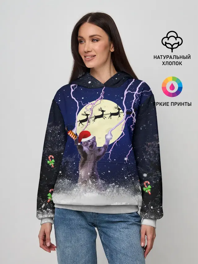 Новогодний Кот