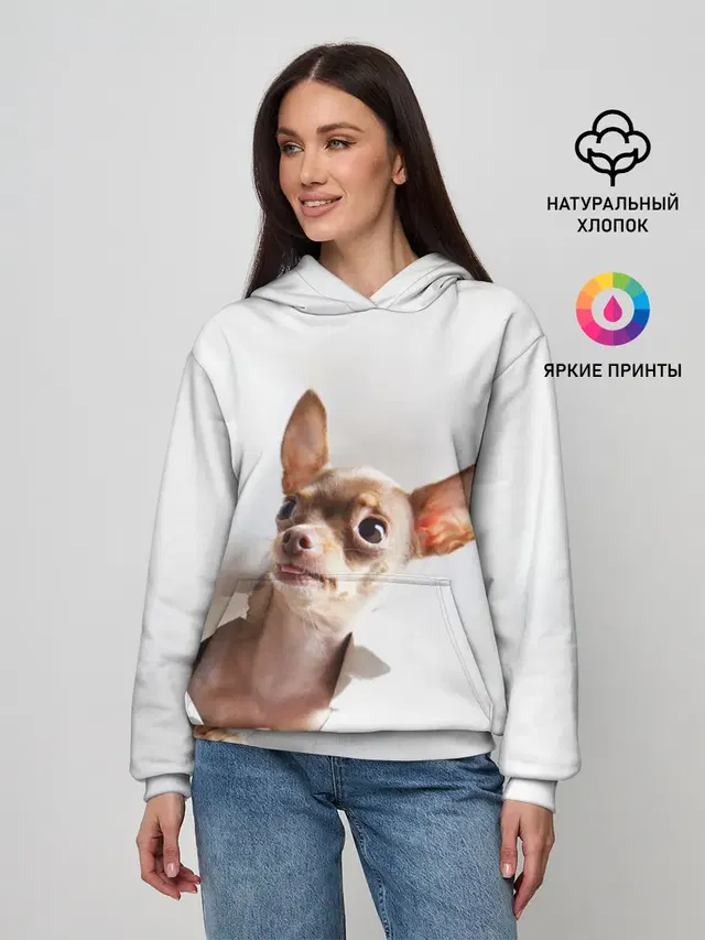Чихуахуа из бумаги вылазит