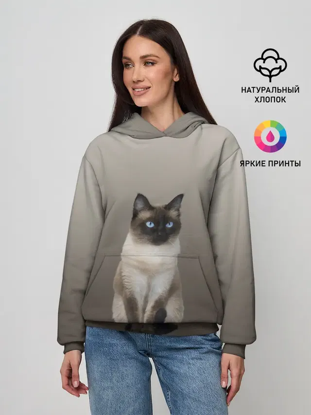 Сиамский кот голубые глаза