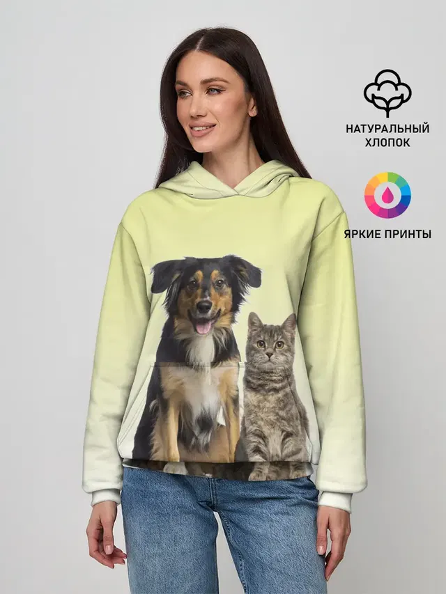 кошка и собака друзья