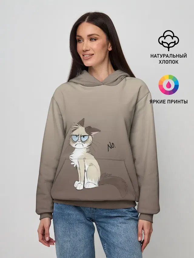 сварливый кот мем нет