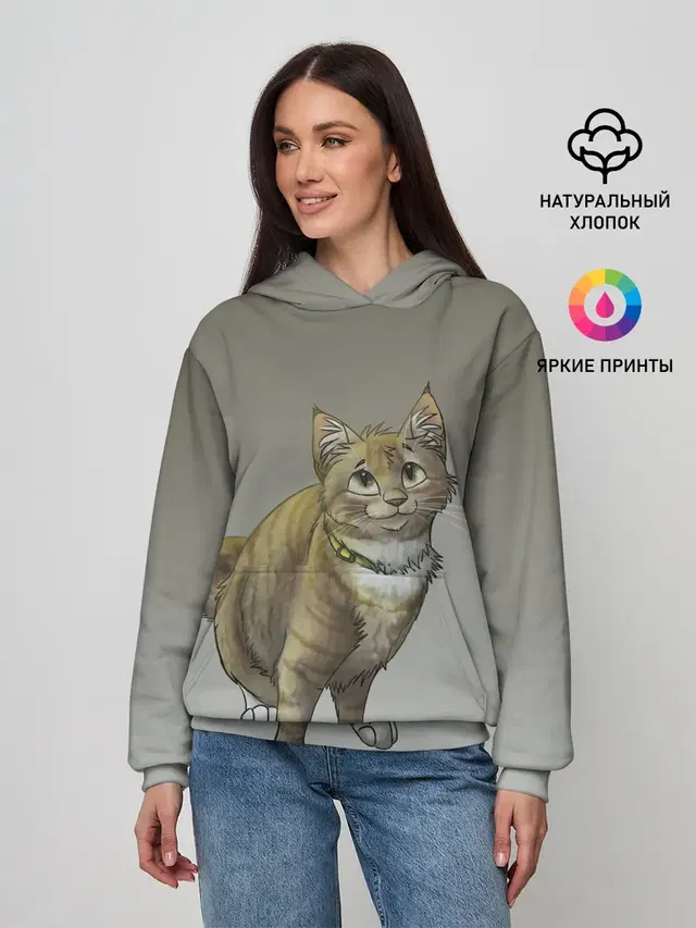 полосатый уличный кот