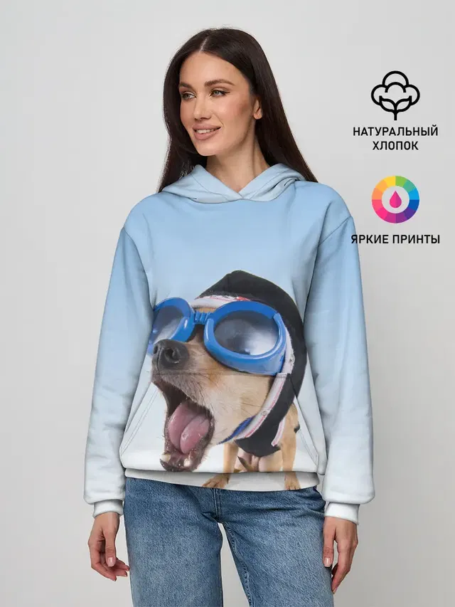 собака в очках