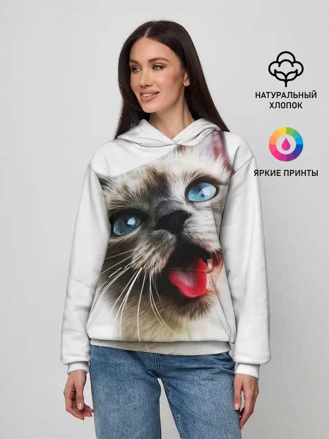 Котик