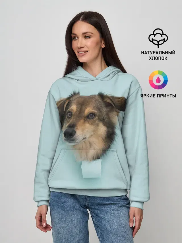 Беспородная Собака дворняга / A Dog