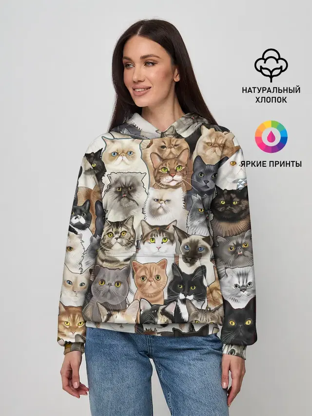 Котики смешные