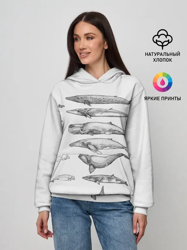 киты графика