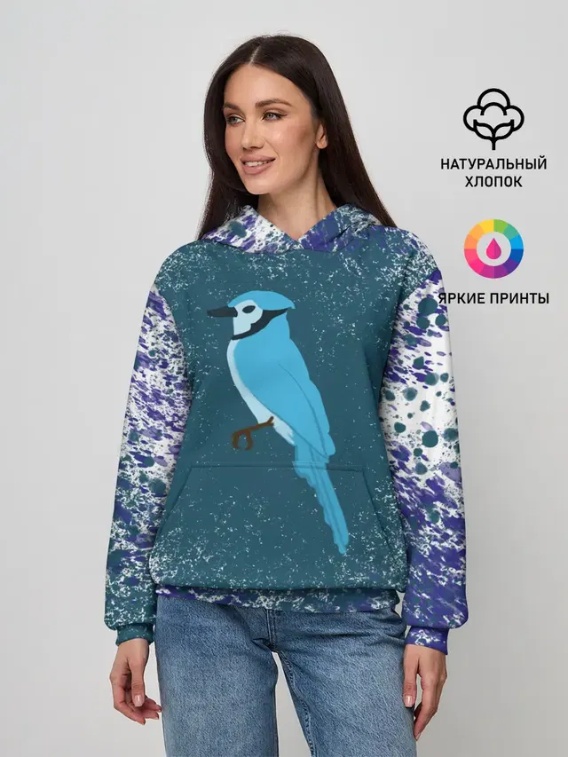Голубая сойка