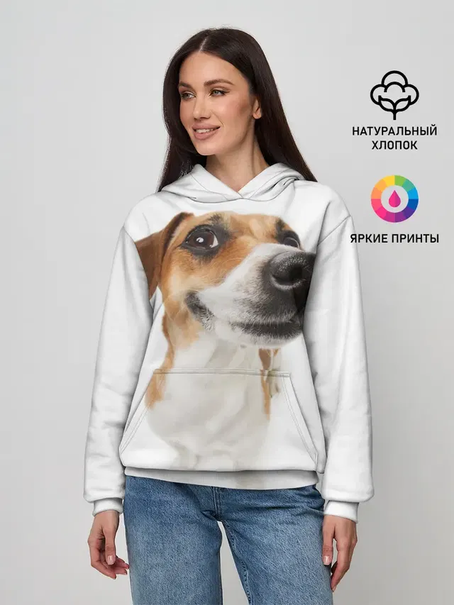 Собака