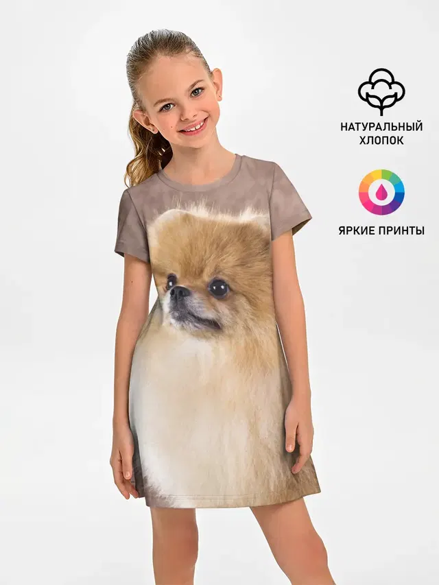 Шпитс