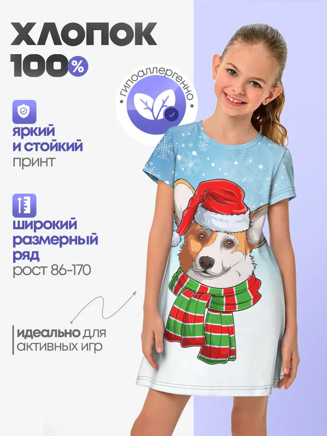 Новогодний Корги / New Years Corgi