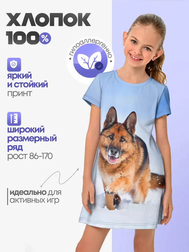 Овчарка и снег