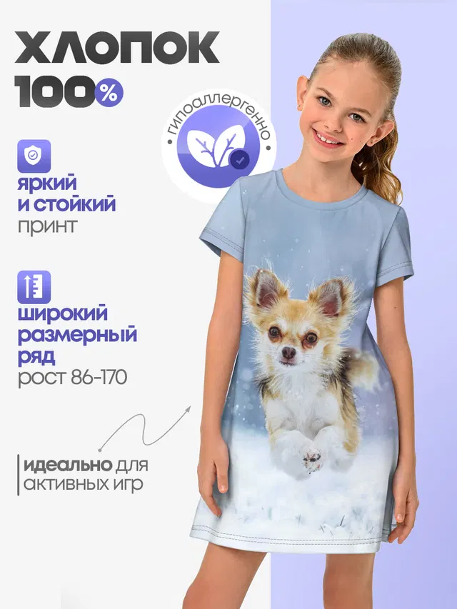 Чихуахуа в снегу