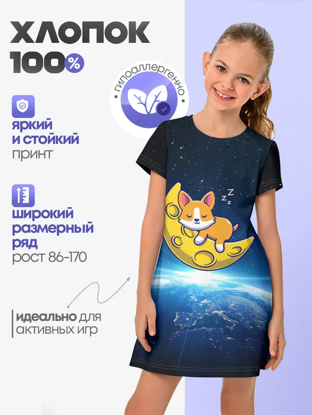 Лунный корги | Space Corgi
