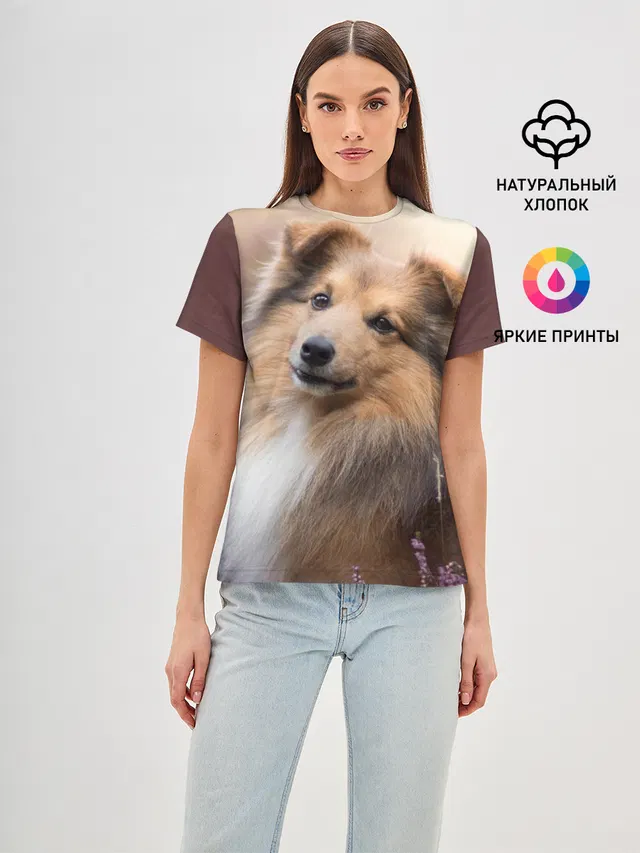 Шелти