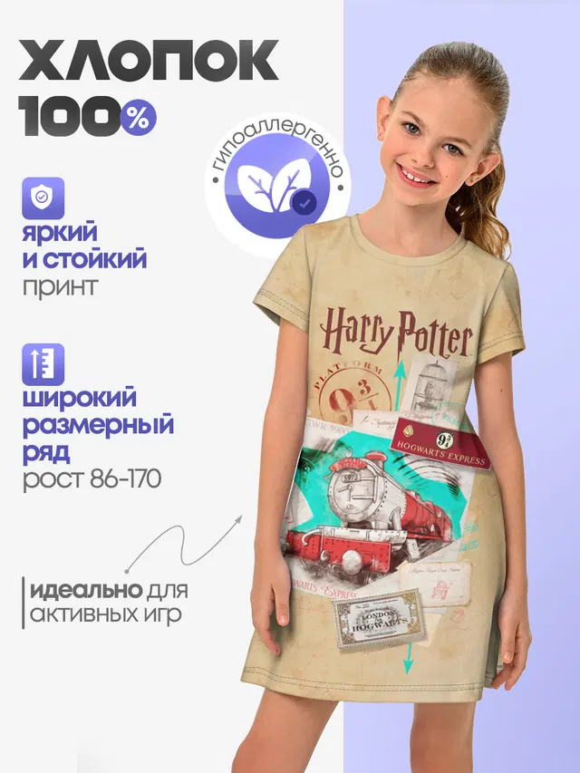 Harry Potter Hogwarts Express