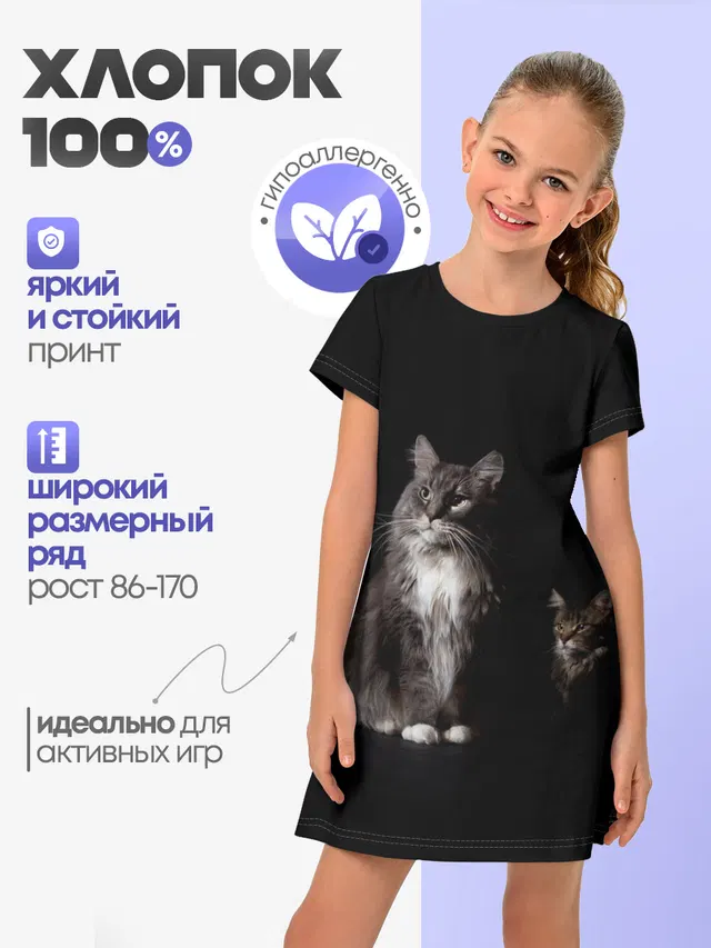 Котики