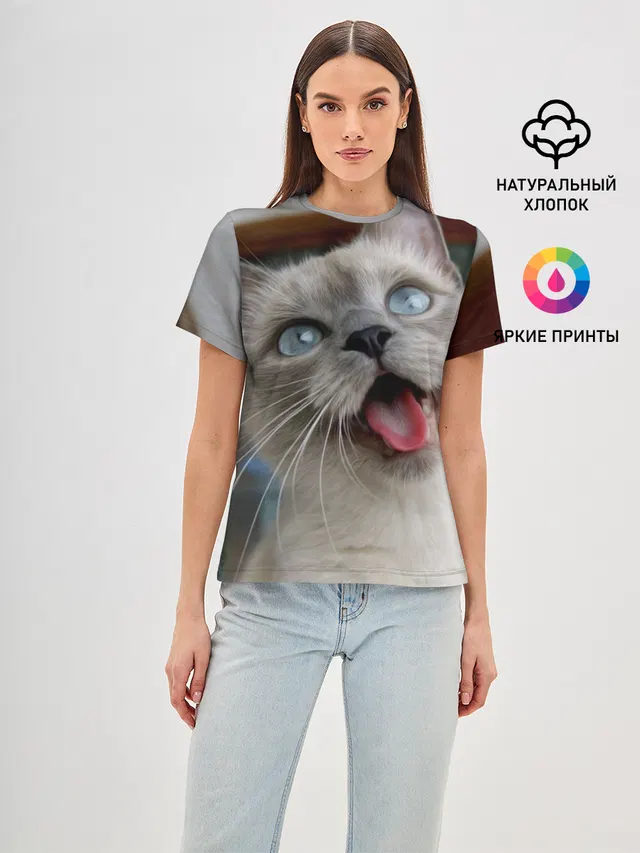 Сиамский котенок
