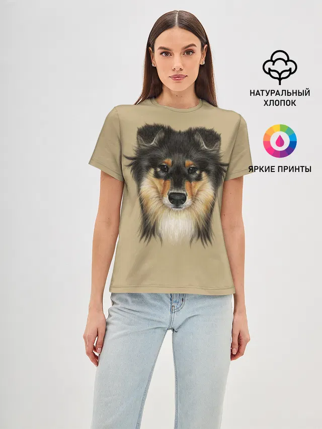 Sheltie