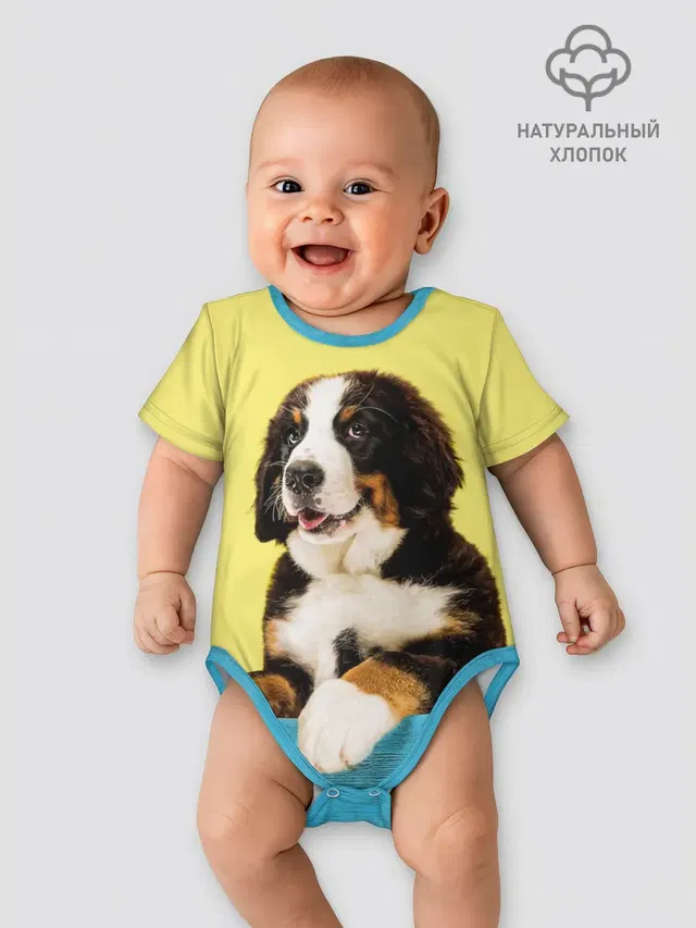 Бернский зенненхунд, Berner Sennenhund