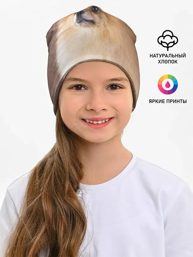 Шпитс