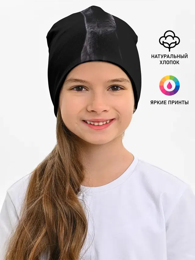 Кот Британец