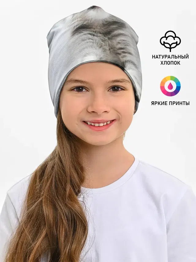 серый котенок