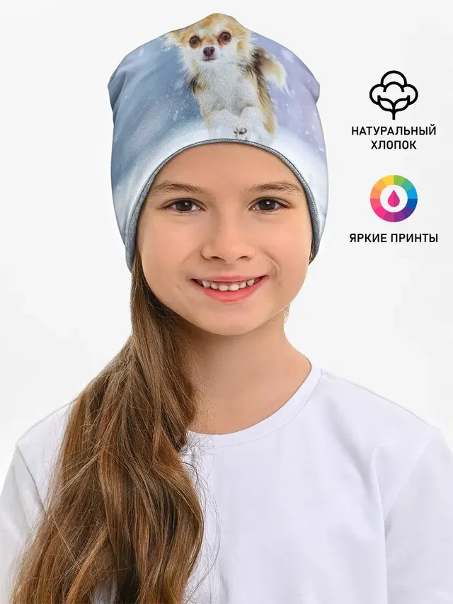 Чихуахуа в снегу