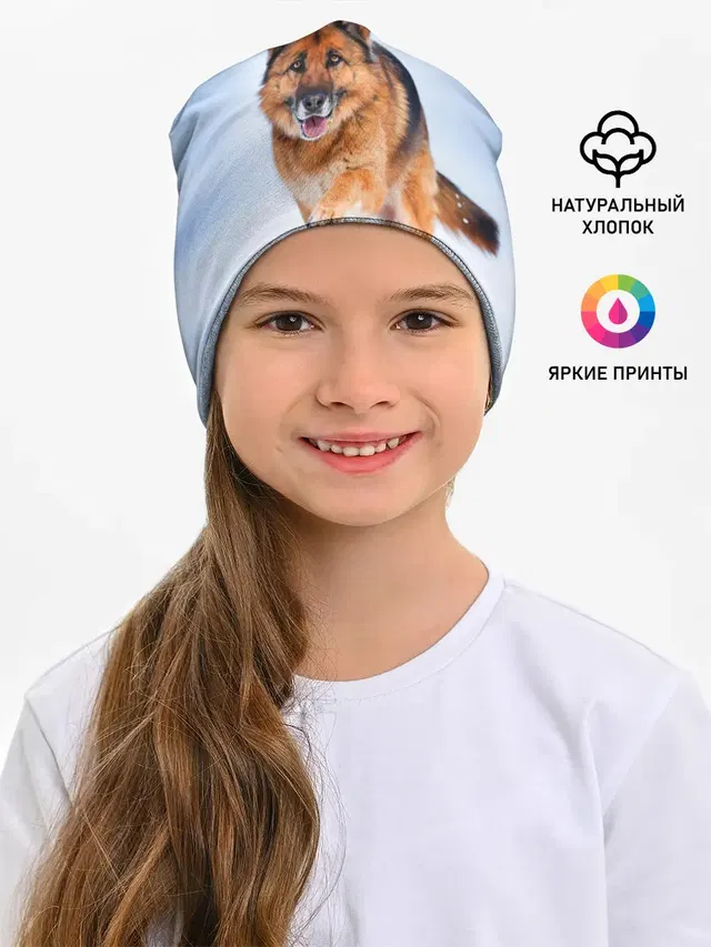 Овчарка и снег