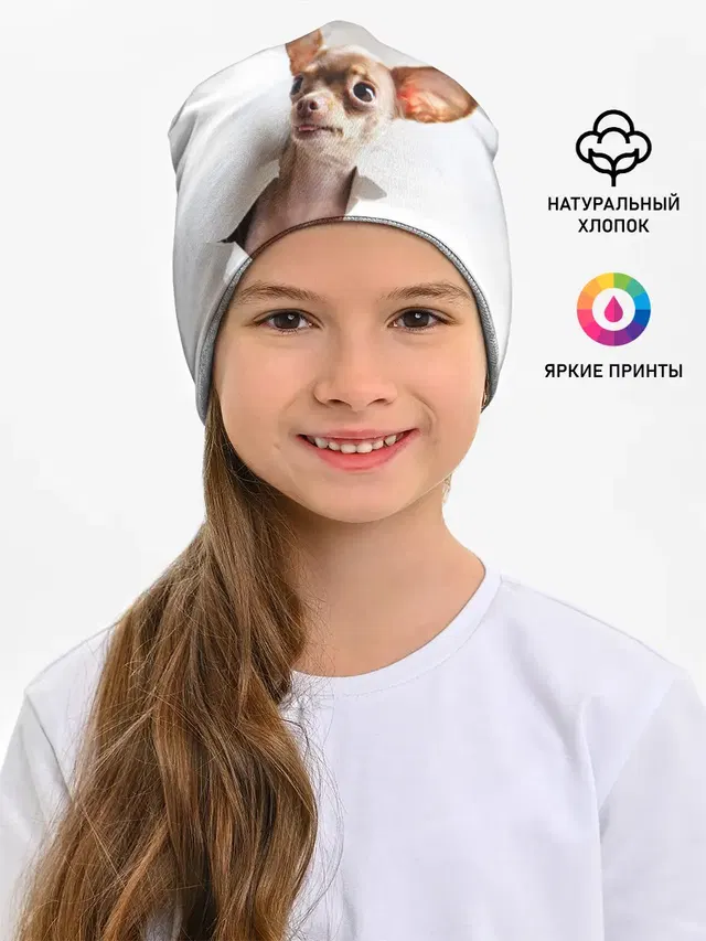 Чихуахуа из бумаги вылазит