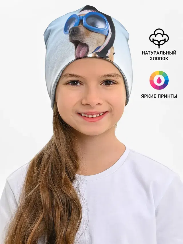 собака в очках
