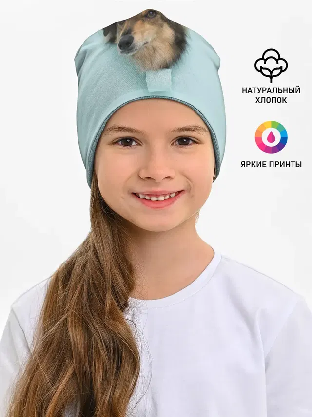 Беспородная Собака дворняга / A Dog