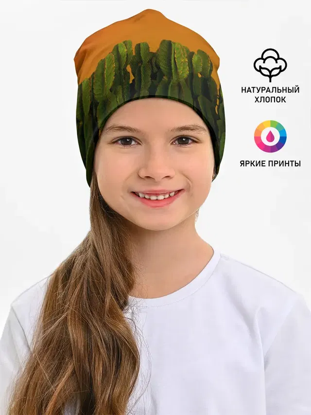 Кактусы на закате