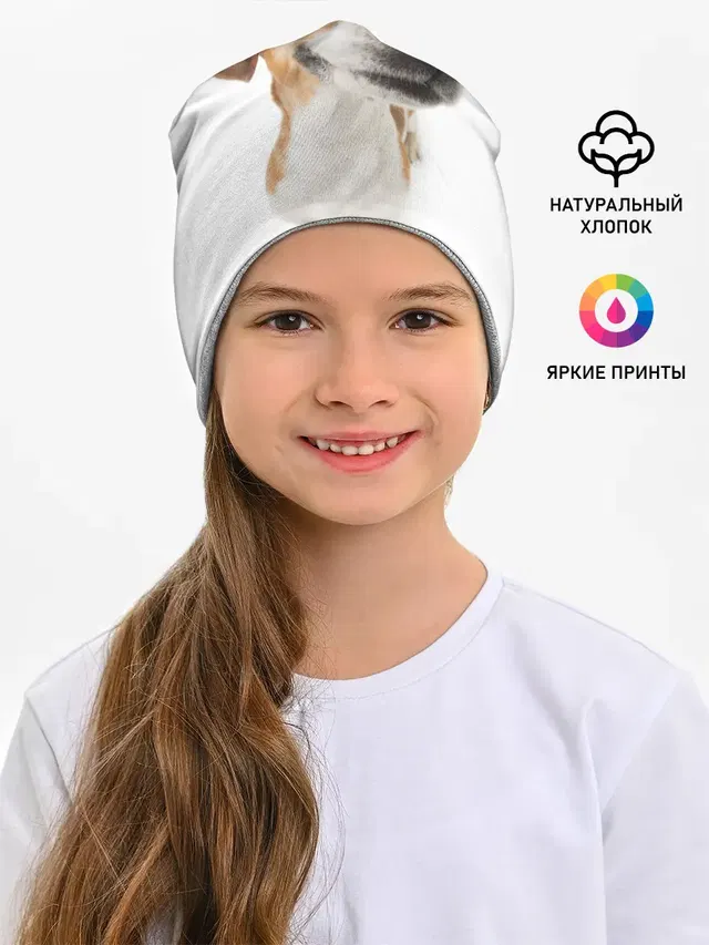 Собака