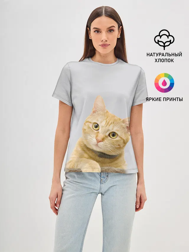 Рыжий котик