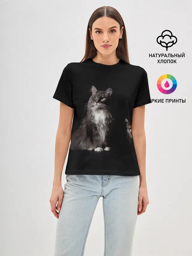 Котики