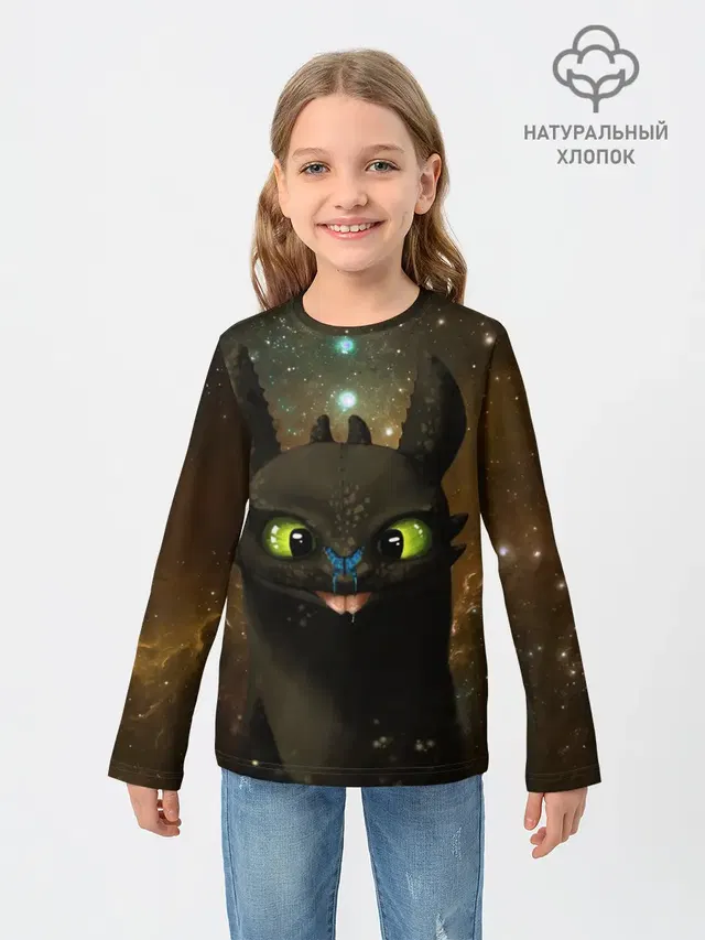 Night Fury