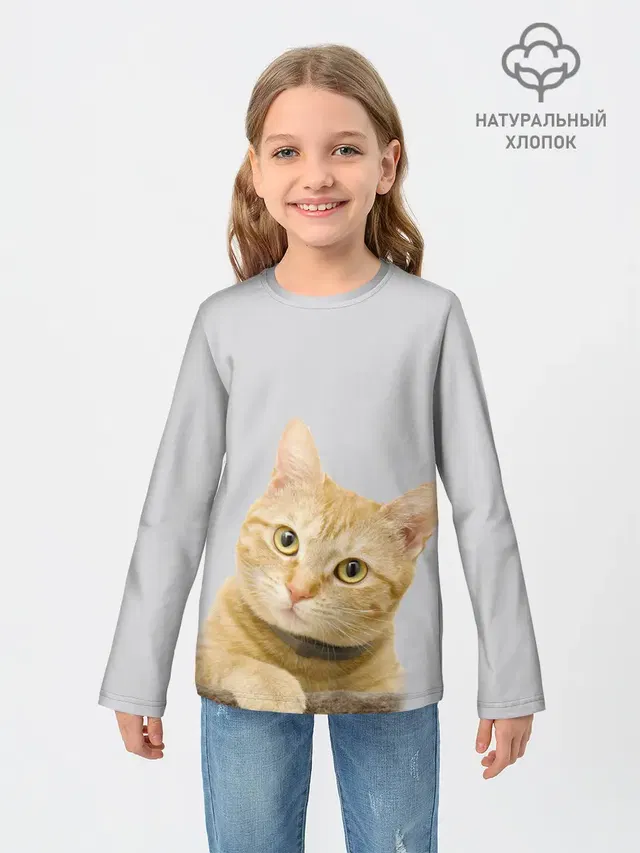 Рыжий котик