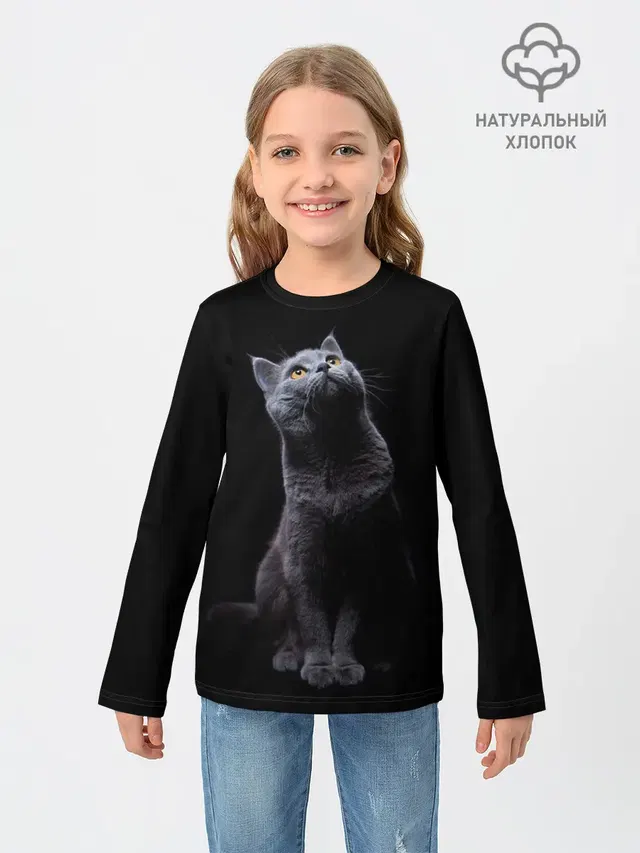 Кот Британец