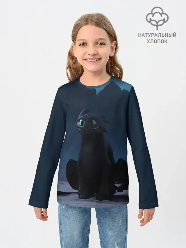 Беззубик:Ночная Фурия