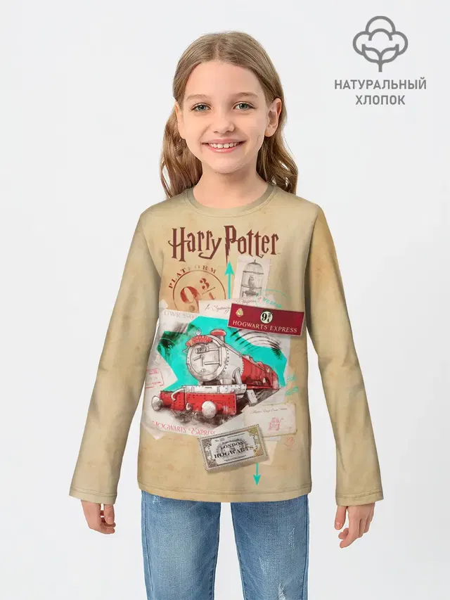 Harry Potter Hogwarts Express