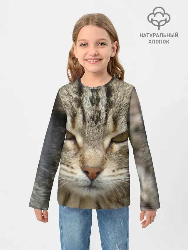 Кот