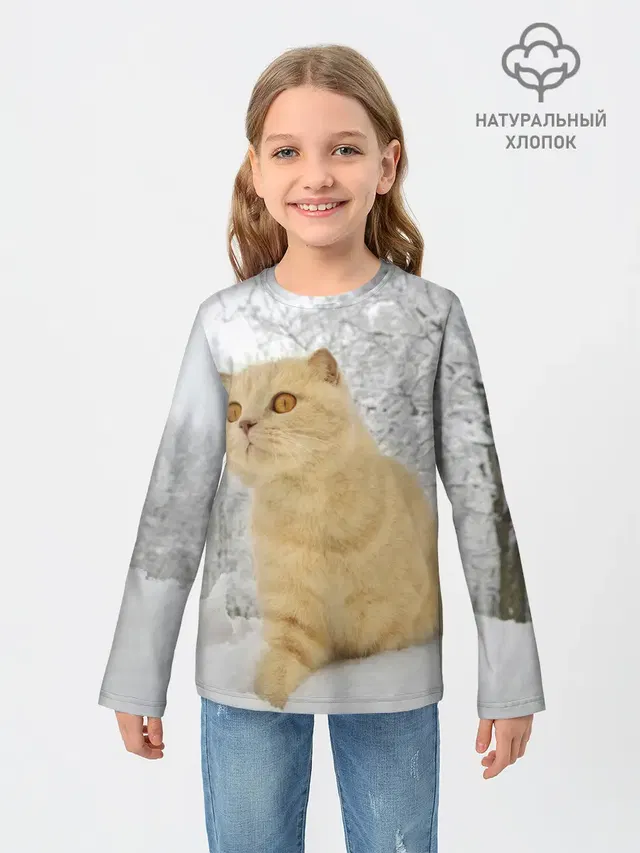 Кот и снег