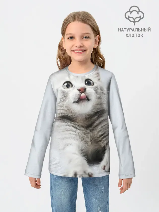 серый котенок
