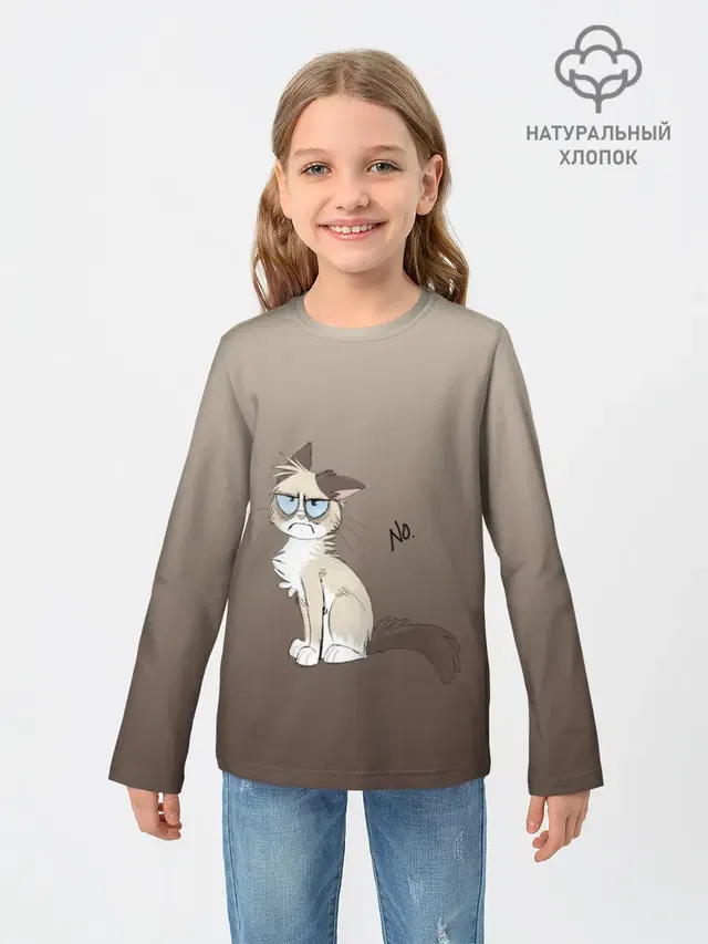 сварливый кот мем нет