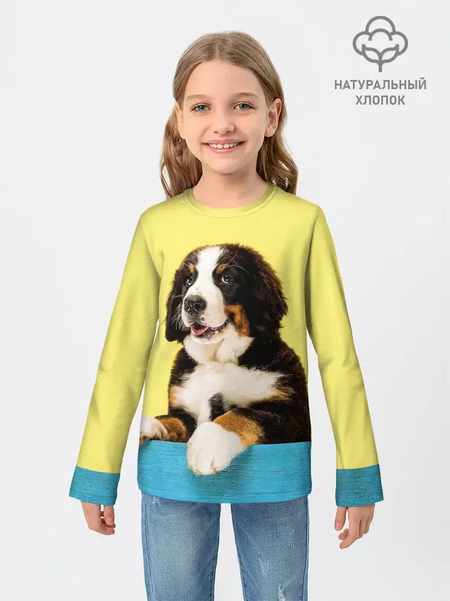 Бернский зенненхунд, Berner Sennenhund
