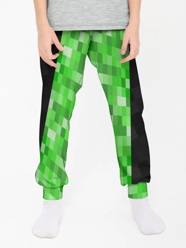 Minecraft EARTH - Котик