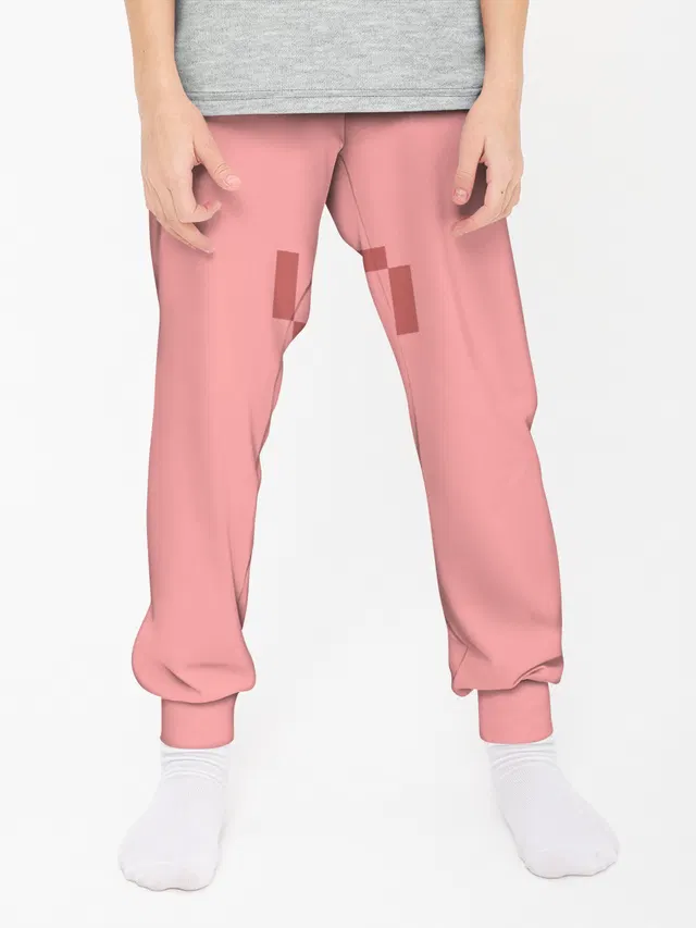 Minecraft Pig
