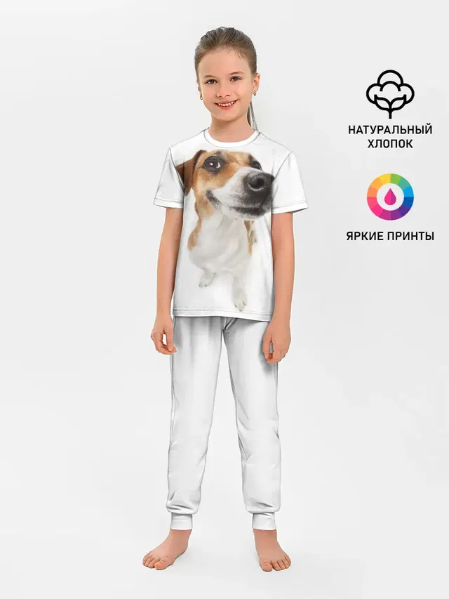 Собака